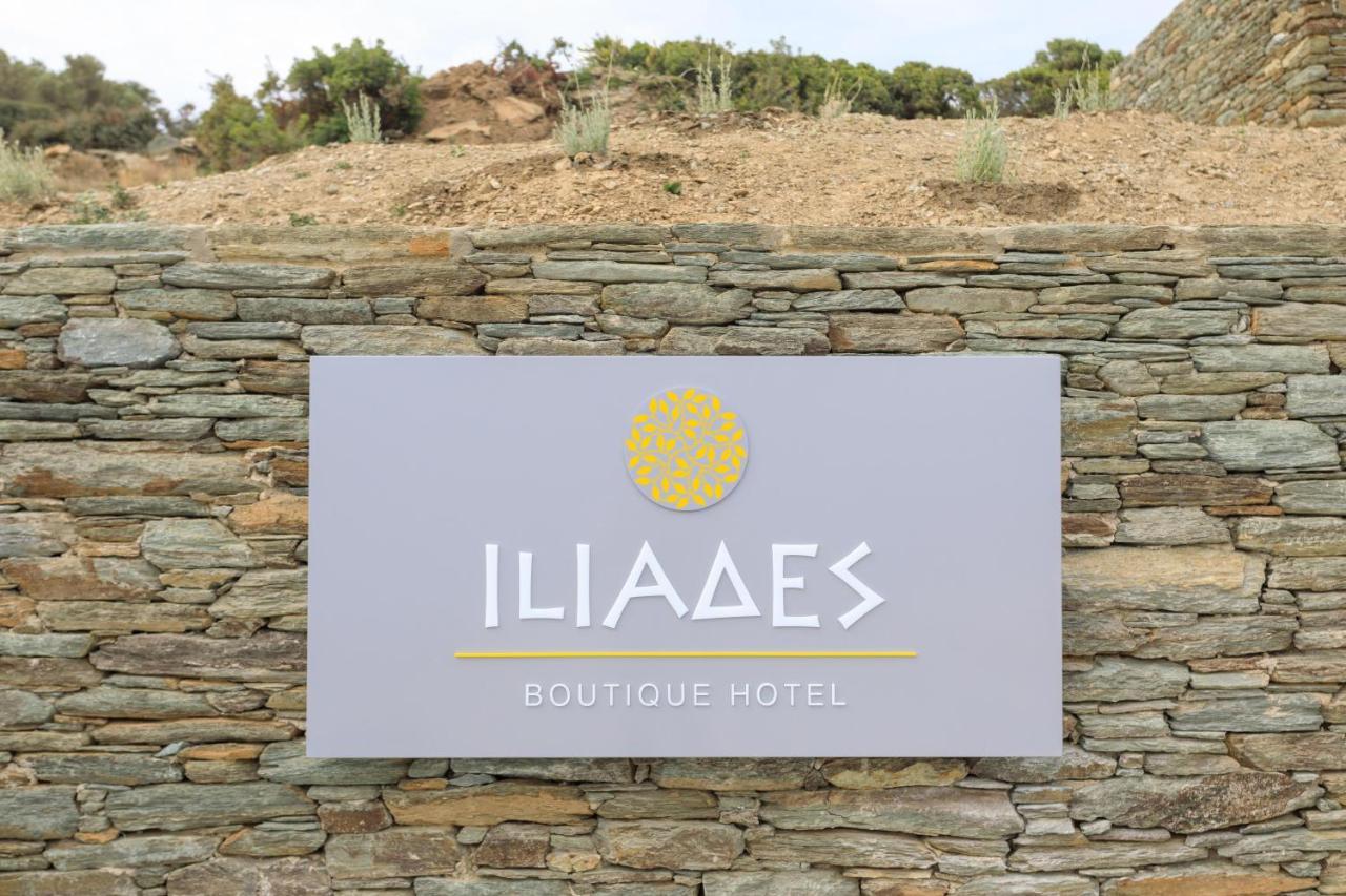 Iliades Luxury Boutique Suites Batsi  Ngoại thất bức ảnh